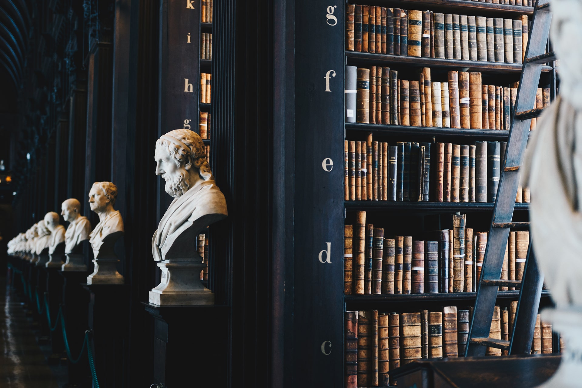 giammarco-boscaro-380907-unsplash-copyright-min.jpg giammarco-boscaro-380907-unsplash-copyright-min.jpg